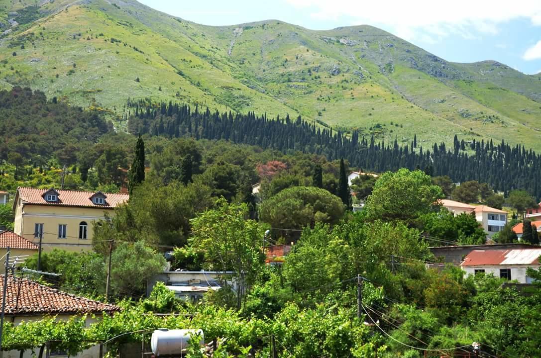 Hotel Shkodra Lake Široka Eksteriør bilde