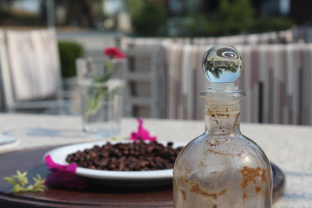 Hotel Shkodra Lake Široka Eksteriør bilde
